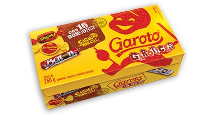 Bombom GAROTO Sortidos 250g