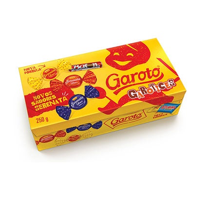 Garoto Caixa Garoto Sortidos 250g